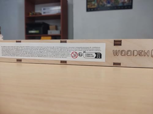 WOODEN.CITY Wooden Express + Tender with Rails 3D Wooden Puzzles for Adults – Build Your Own Train Set with Rubber‑Band Motor – Self‑Assembly Model, DIY Gift for Adults and Teens