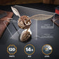UGEARS Wooden 3D Puzzles for Adults - Harry Potter Golden Snitch Model Building Kits - DIY Crafts 3D Puzzle Harry Potter Puzzle Set - 3D Model Kits for Adults - 120 Pcs