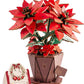 Wowood 3D Flower Wooden Puzzles for Adults-Poinsettia, DIY Wooden Flowers Model Kit Building Set Crafts for Adults to Build, Botanical Collection/Ideal Creative Gift Ideas/Housewarming (153PCS)