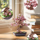 ROBOTIME Sakura Bonsai 3D Puzzles Wooden Artificial Cherry Blossom Tree DIY Model Building Kit for Home Decoration and Office Art Creative Gifts