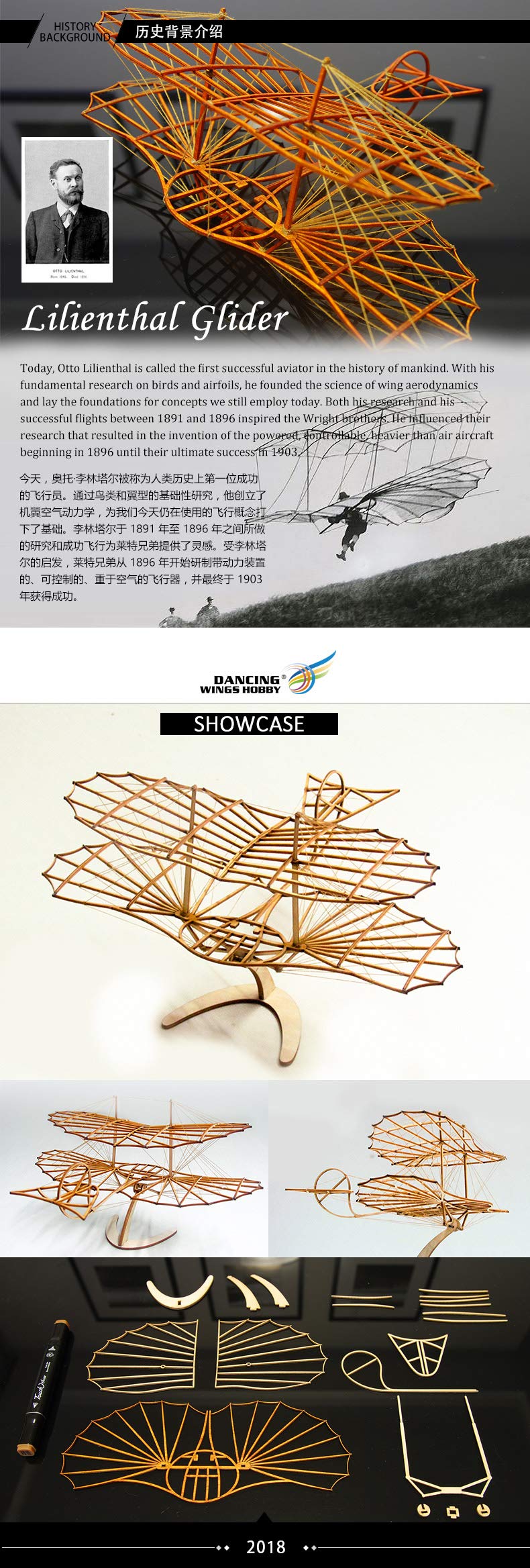 3D Wooden Puzzles Airplane DIY Otto Lilienthal Glider, Laser Cut Balsa Model Airplane Kits to Build for Adults, Perfect Wood Models Plane for Men Birthday Gift Home Decoration