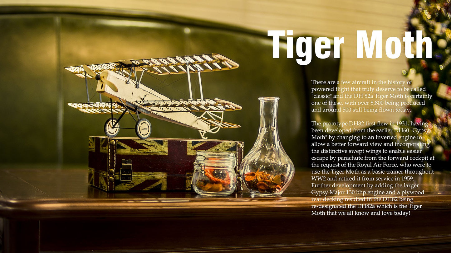 Viloga 3D Wooden Puzzles DIY Tiger Moth Bi-Plane Vintage Airplane Model Kit, Laser Cut Balsa Wood Model Aircraft Kits to Build for Adults