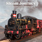 ROBOTIME 3D Puzzles for Adults Wooden Puzzle DIY Model Steampunk Train Kit to Build Wood Craft Kit Toy Hobby Gift Home Decor (Steam Journey)