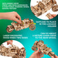 UGEARS Wooden 3D Puzzles for Adults - Three-Wheeler UGR-S Motorcycle Model Kit with Spring Motor, Functional Steering and Chain Drive – DIY Model for Motorcycle Enthusiasts 457 Pcs